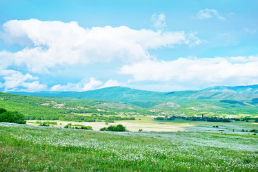 Similar image 7724132