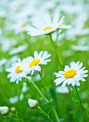 Similar image 7724299