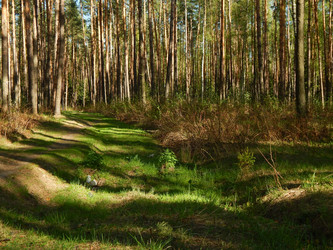 Similar image 7724334