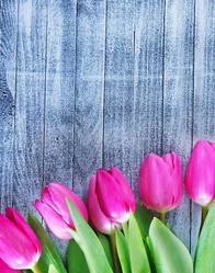 Similar image 7724348