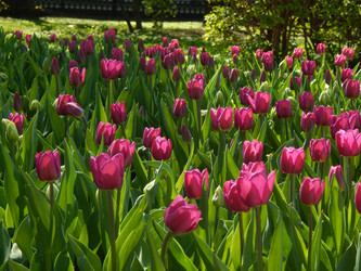 Similar image 7724374