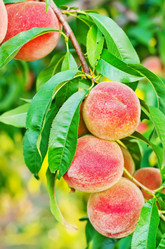 Similar image 7724421