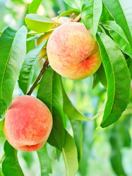 Similar image 7724422