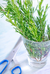 Similar image 7724423