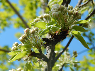 Similar image 7724454