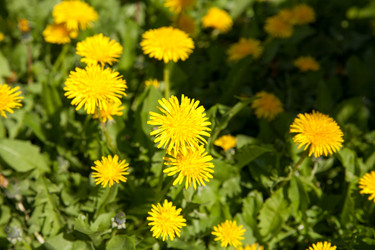 Similar image 7724456