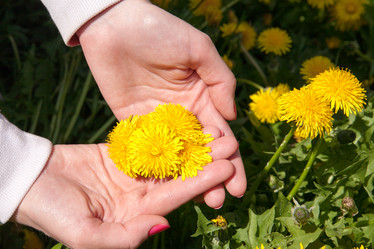 Similar image 7724461