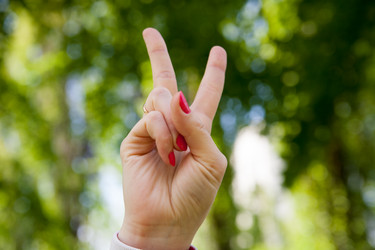 Similar image 7724477