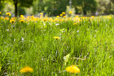 Similar image 7724484