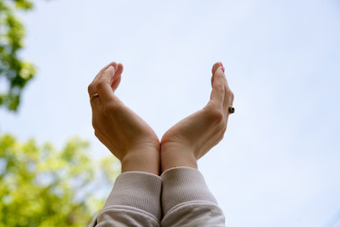 Similar image 7724485