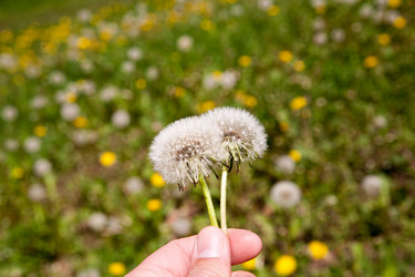 Similar image 7724491