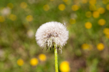 Similar image 7724492