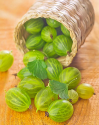 Similar image 7724525