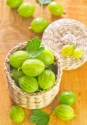 Similar image 7724533