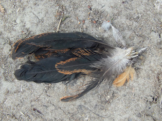 Similar image 7724594