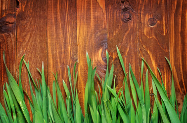 Similar image 7724602