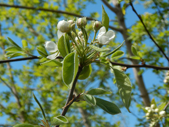 Similar image 7724614