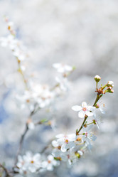 Similar image 7724625