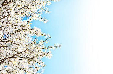 Similar image 7724626