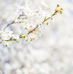 Similar image 7724628