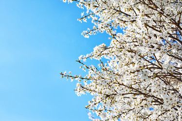 Similar image 7724633