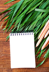 Similar image 7724643