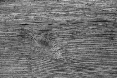 Similar image 7724664