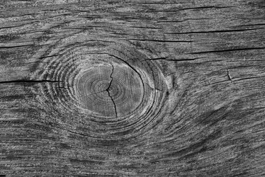 Similar image 7724671