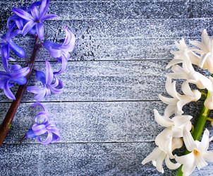 Similar image 7724719