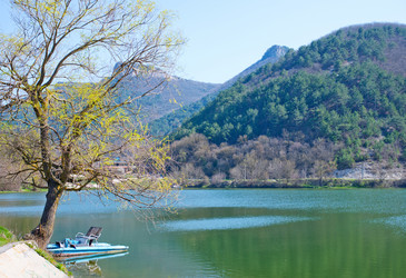 Similar image 7724720