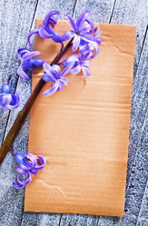 Similar image 7724728