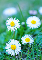 Similar image 7724729