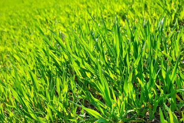 Similar image 7724730