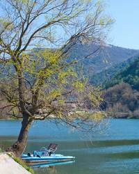 Similar image 7724734