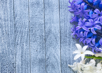 Similar image 7724790