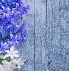 Similar image 7724795