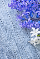 Similar image 7724796