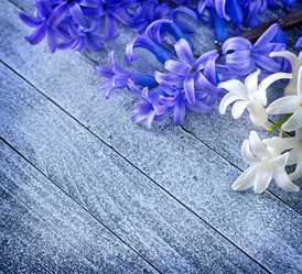 Similar image 7724797