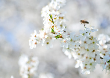 Similar image 7724801