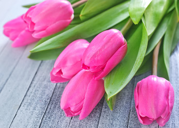 Similar image 7724816