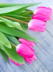 Similar image 7724823