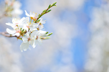 Similar image 7724825