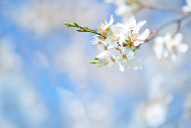 Similar image 7724827