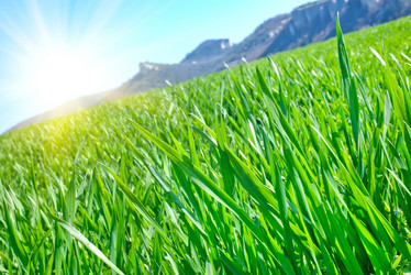 Similar image 7724828