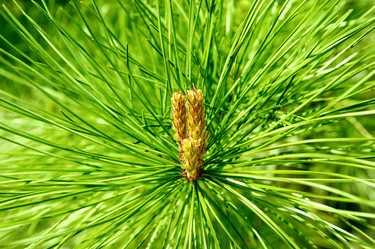 Similar image 7724854