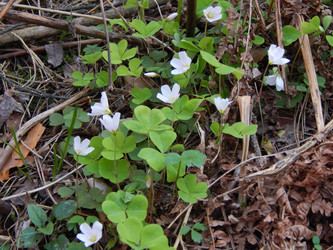 Similar image 7724871