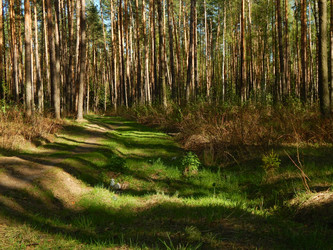 Similar image 7724872