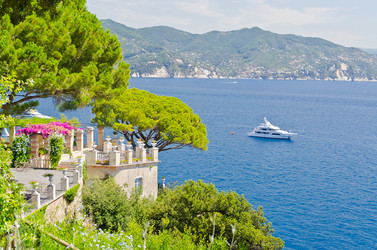 Similar image 7724900