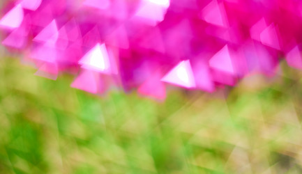 Similar image 7724979