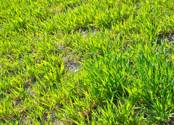 Similar image 7725033